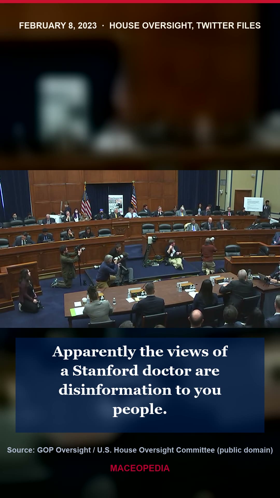 "Where did you go to medical school?", Mace vs. Twitter CLO Vijaya Gadde