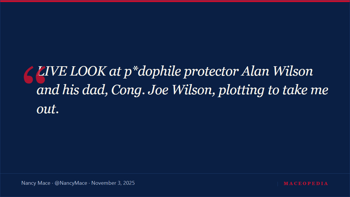 'Buried the hatchet': after finishing fifth, Mace concedes the governor's race and endorses Alan Wilson, the rival she spent months branding a 'p*dophile protector': image 3