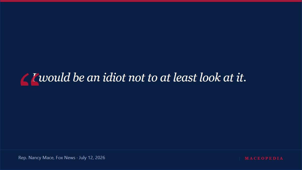 "I would be an idiot not to at least look at it": filing for Lindsey Graham's Senate seat opens Tuesday, and Nancy Mace has seven days: image 1