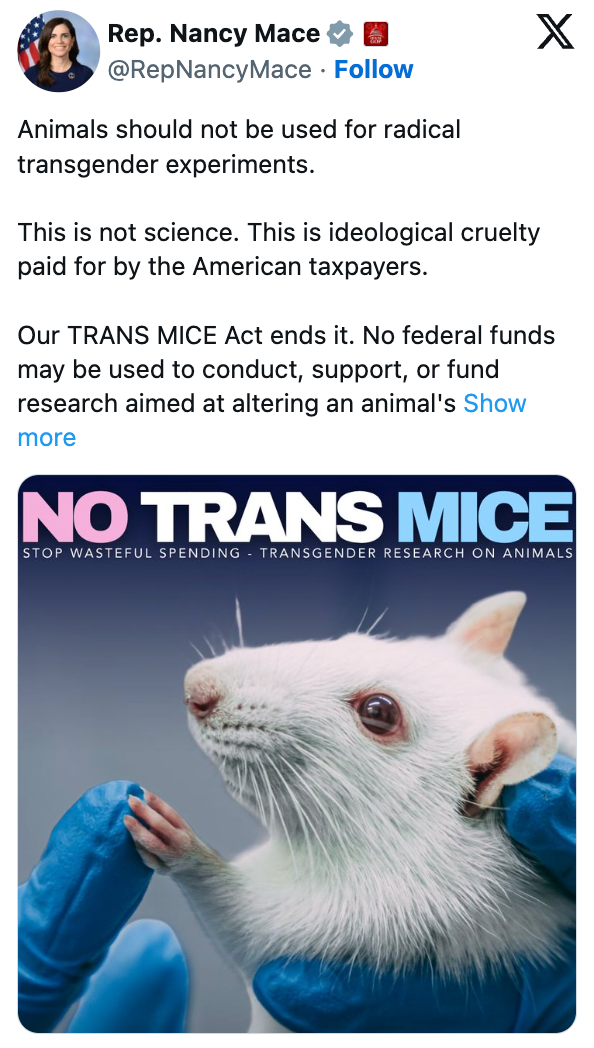 BuzzFeed item #3 showing Nancy Mace's TRANS MICE Act post in its June 2026 political photos roundup.